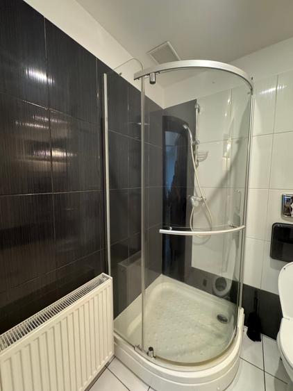 Duplex 350 mp/terasa/sauna/5 dormitoare la inchiriat - 6