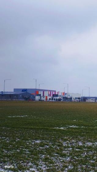 Teren intravilan mixt de vanzare Branesti, Ilfov Pret:110 EURO MP - 2