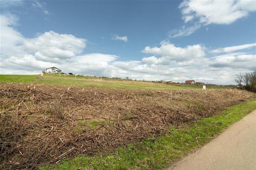 Teren intravilan Cetariu - 5