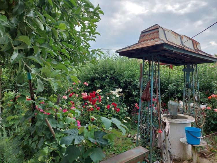 Vand casa de locuit si teren 4000 mp - 7