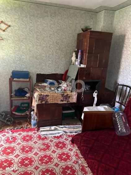 Casa la tara cu teren 3940 mp si livada zona linistita - 7