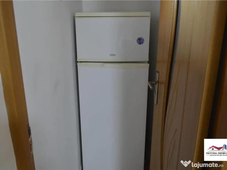 Apartament 1 Camera Mobilat si Utilat de Zona Dambu Pietros - 10