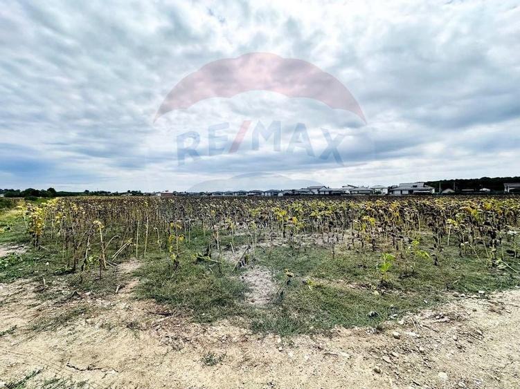 Teren 14.863mp, deschidere 42mp, acces 3 laturi - Ciorogarla, langa A0 - 3