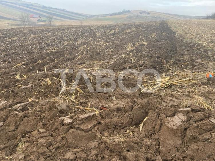 Teren de vanzare oportunitate investitie imobiliara 9300 mp Sura Mare - 3