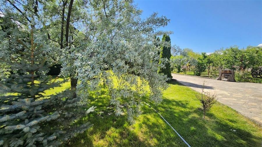 Conac in Ipotesti! - Suceava! De Vanzare! 0727817187 - 17