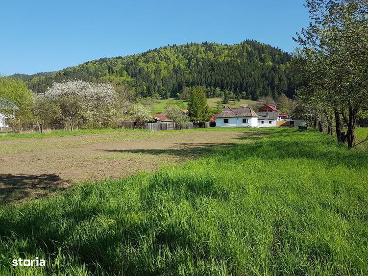 Casa batraneasca din barne cu teren la Mures - 1