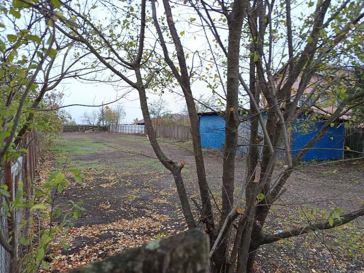 Ocazie Vand Teren Intravilan 1000 mp in Fundulea Crang drum asfaltat - 5