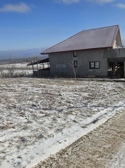 Teren 571 mp Chicerea-Tomesti - 7