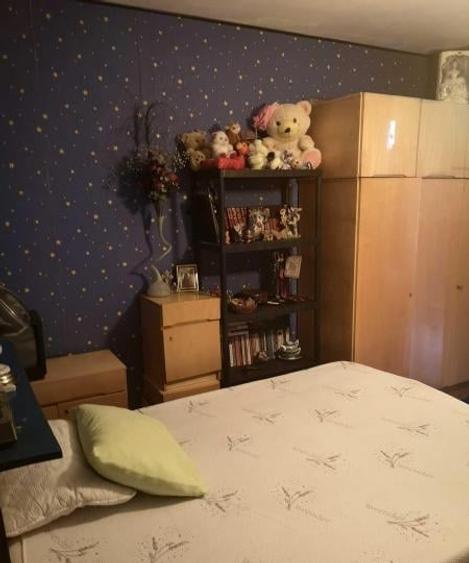 Apartament 2 camere Nicolae Grigorescu - 2