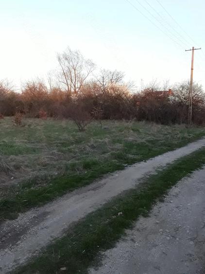 Teren de 3200 mp, în Cocu