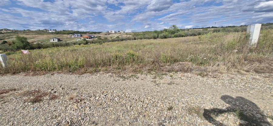 RECO Teren  intravilan in Saldabagiu de Munte - 6