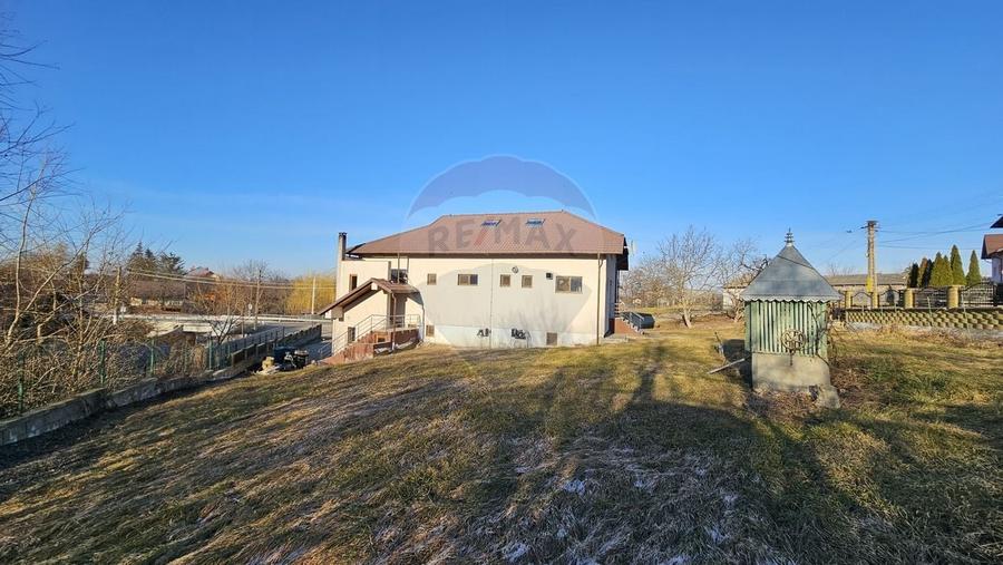 Complex comercial-cofetarie, patiserie pitzerie- Udesti, Suceava - 47