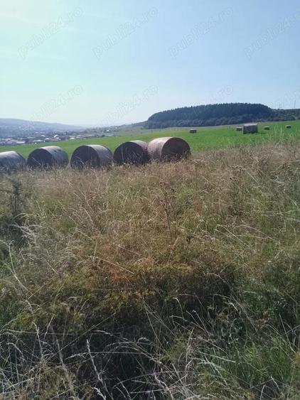 Chinteni 40 euro mp - 10