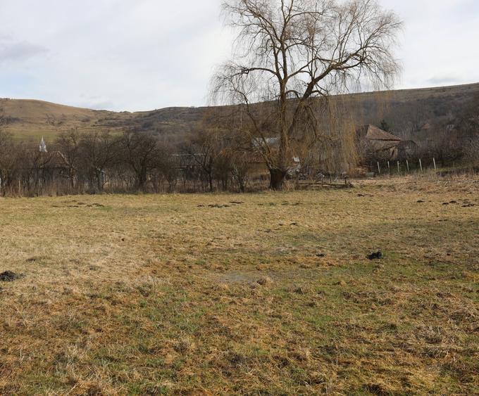 Teren intravilan 3645 mp , com Geaca, sat Lacu - 3