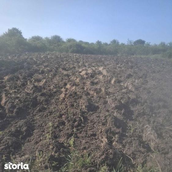 Teren Intravilan Oradea 1000 m2 Zona Nicolae Beldiceanu - 4