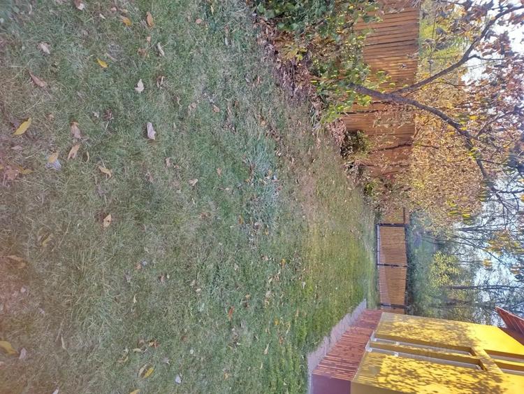 Vand casa cu teren aferent, proprietate particulara. - 6