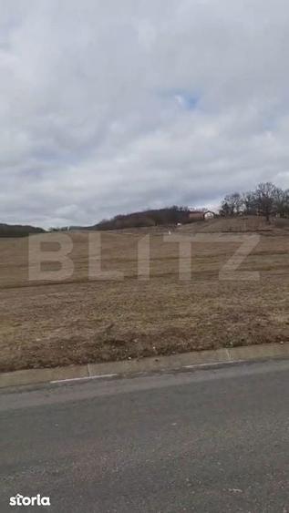 Teren parcelabil, de investitie, 1000-7500 mp in Valea Seaca, Baciu - 1