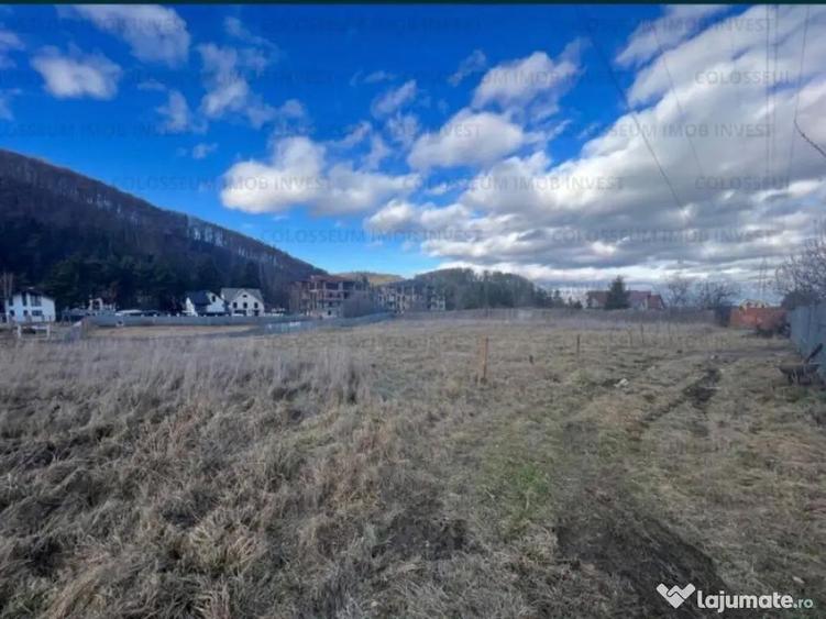 Teren intravilan, cu certificat de urbanism - Bunloc/Sacele - 3