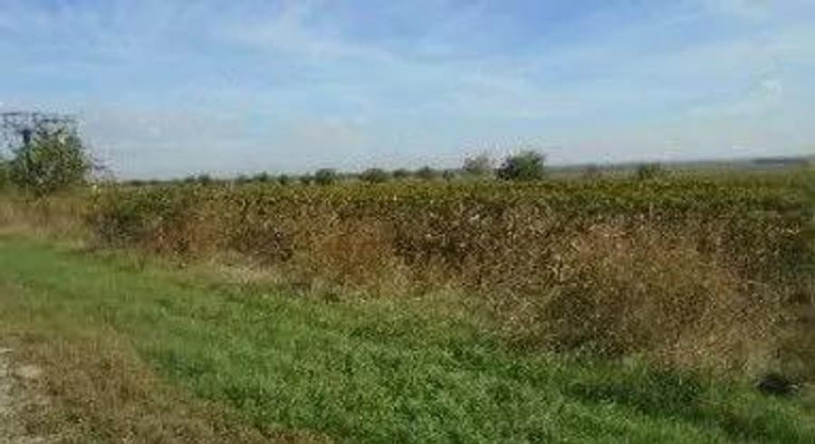 Teren extravilan Obrejita, ID: R2832813 - 3