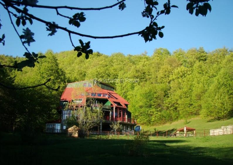 Casa de Vacanta / Pensiune Lepsa Vrancea - Locatie excelenta Casa de Vacanta / Pensiune Lepsa Vrancea - Locatie excelenta
