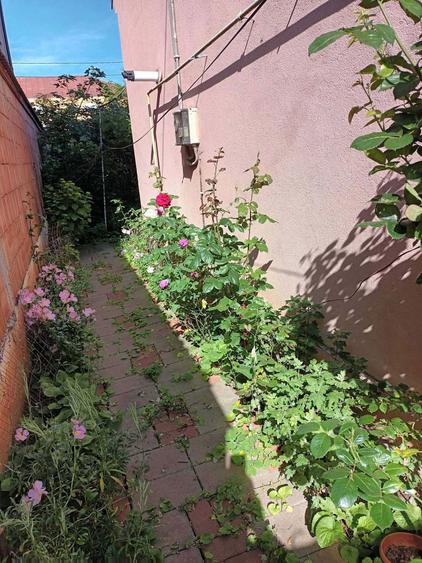 Vand casa strada Bolintineanu, Drobeta Turnu Severin - 5