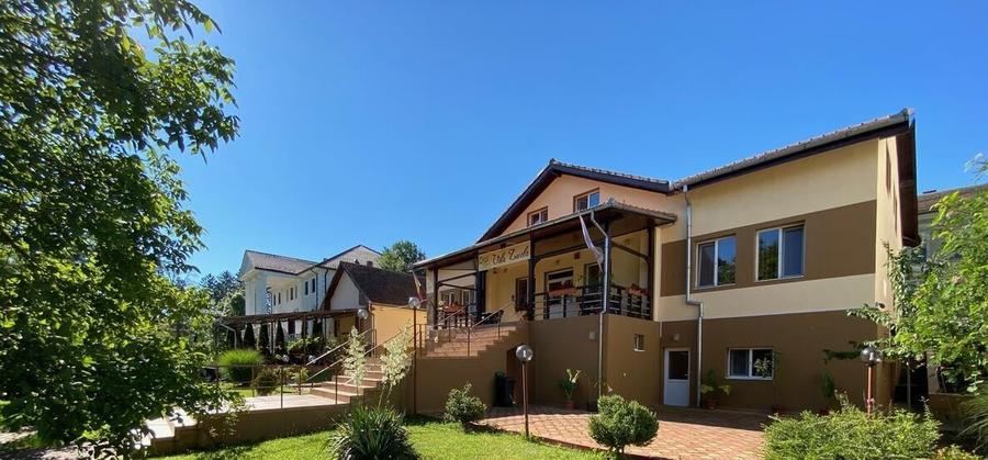 Pensiune functionala arhitectura deosebita Buzias - 2