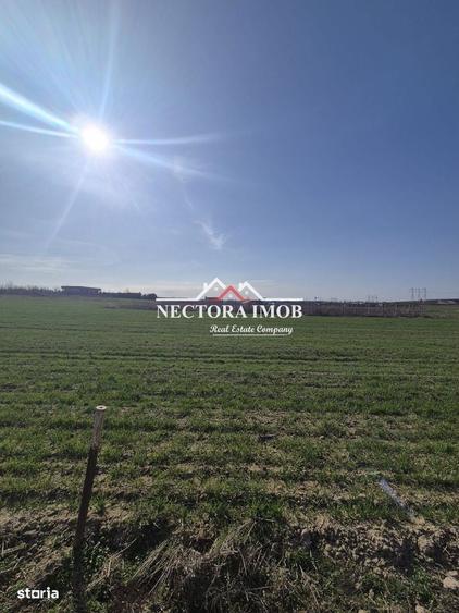 NECTORA IMOB-Teren Intravilan 537 mp, Zona Solay, 250 m de asfalt - 5