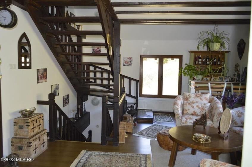 Topoloveni - Conacul Ion Mihalache, Domeniu pe 5 Hectare! - 25