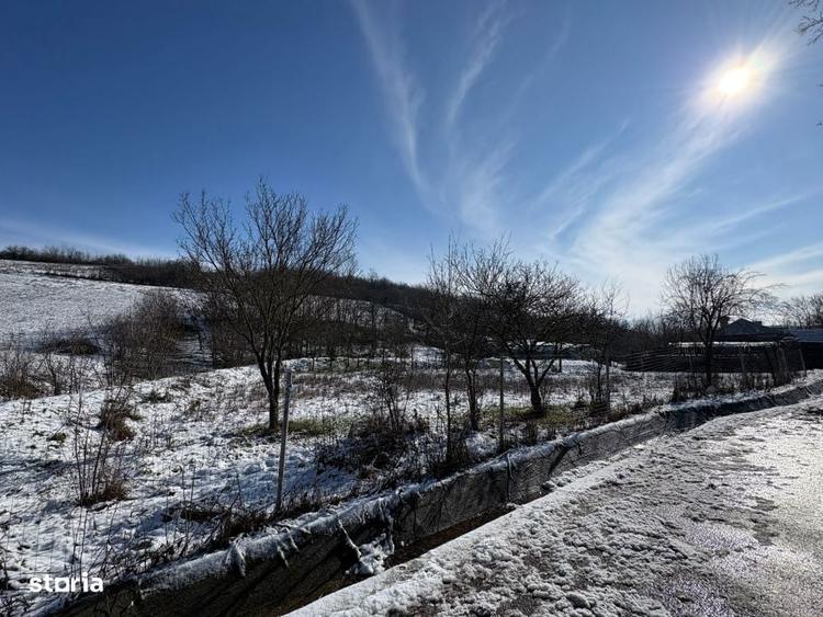 Teren intravilan 1.000 mp imprejmuit Luncsoru, comuna Ghercesti - 3