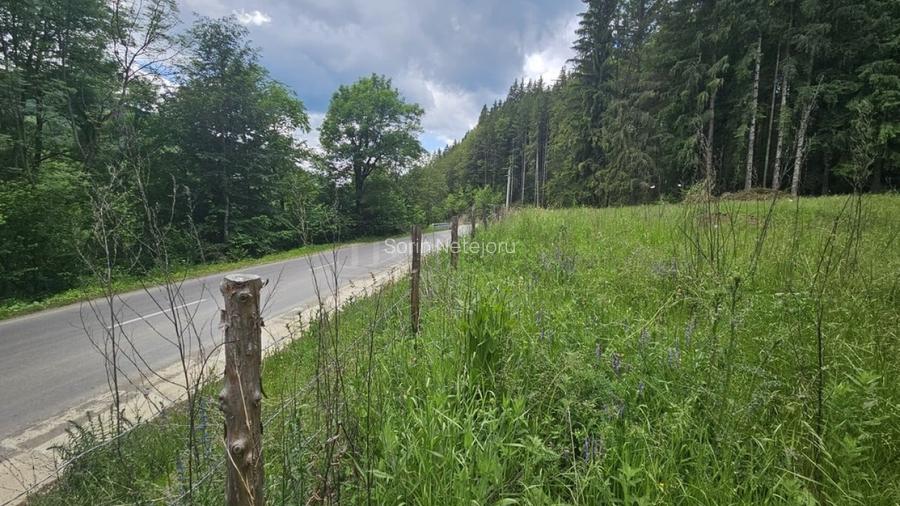 Teren Construcții intravilan de 7546 mp, în Valea Doftanei Teren Construcții intravilan de 7546 mp, în Valea Doftanei