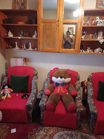 Gasoniera de vanzare - 3