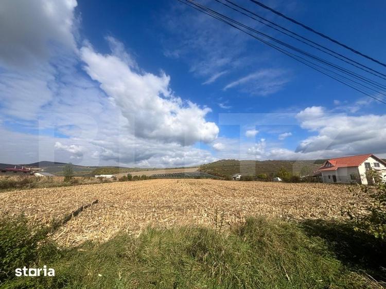 Teren de 15000 mp, în Central