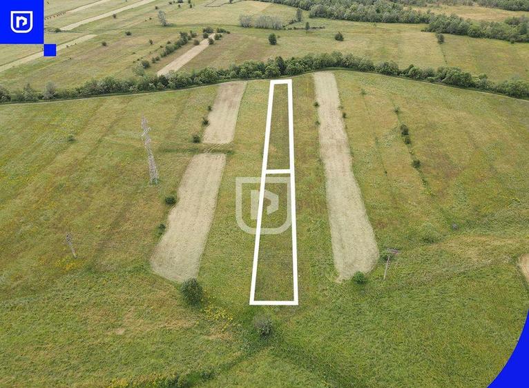 Teren Vorone? | Gura Humorului | Suceava - Bucovina - 28... - 3