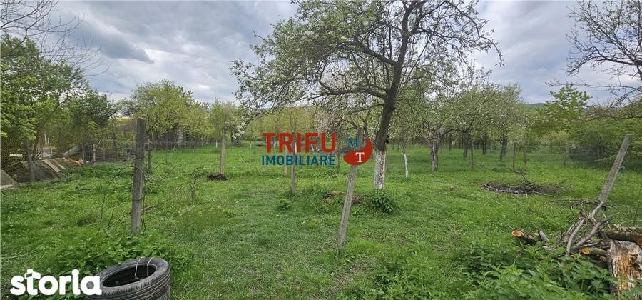 Casa + Teren Benic ! - 12