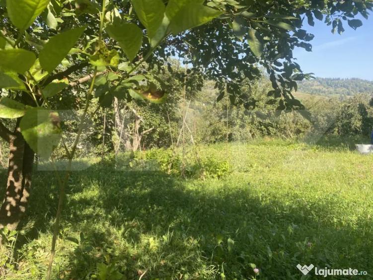 Teren in Doroteia, Plutoni?a, 3880 mp, intravilan - 3