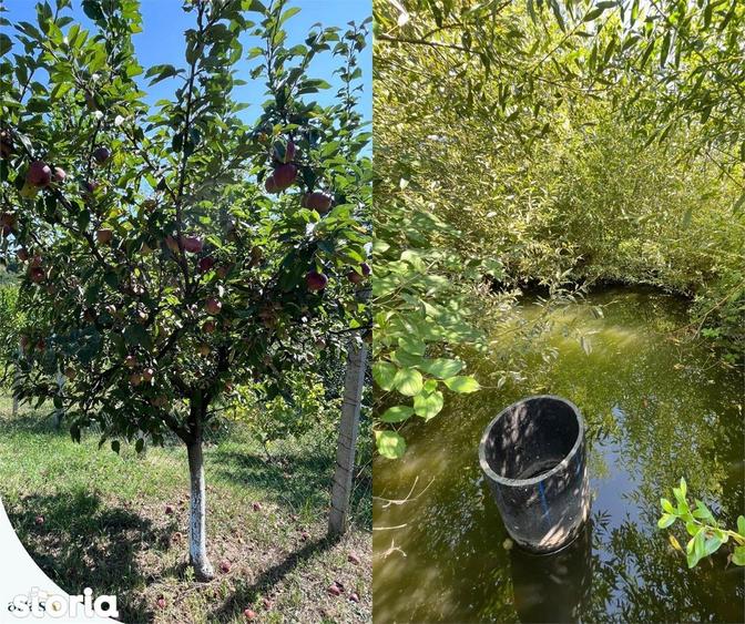 Teren intravilan - 1.248 mp + casa batraneasca 60 - 5