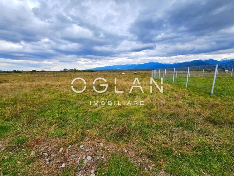 SUPER PRET! Teren 2400 mp Valea Avrigului SIBIU - 9