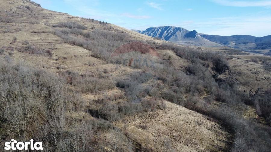 Casa din piatra la poalele Bedeleului Izvoarele, Alba - 18