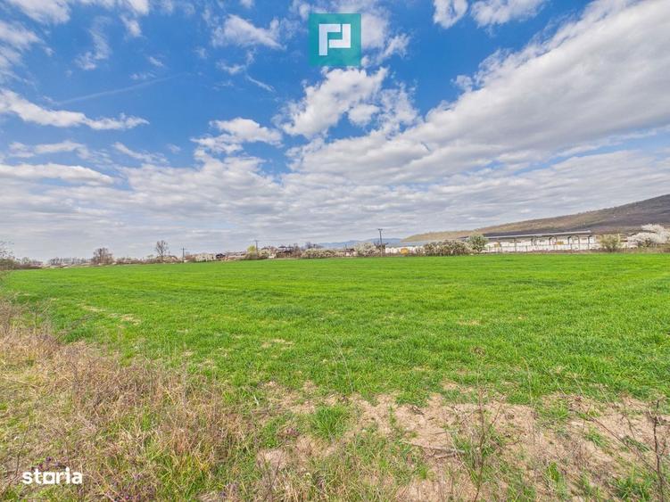 Teren extravilan, 1 ha, in orasul Sebis, Arad - 3