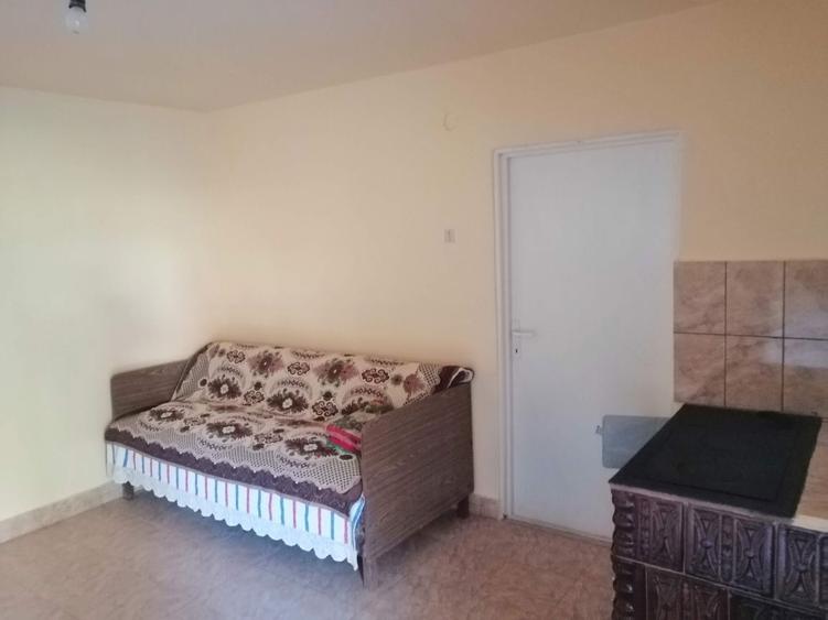 Vand casa Talagiu Arad 4 camere - 4