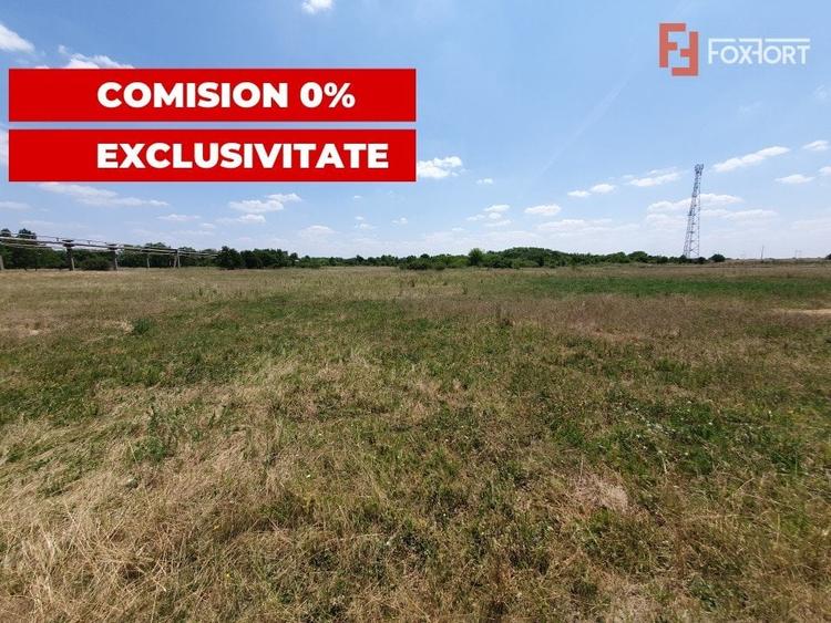 COMISION 0% Teren de vanzare intravilan de 5000 mp in Chisoda - 6