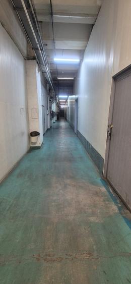 Spatiu Theodor Pallady - 12