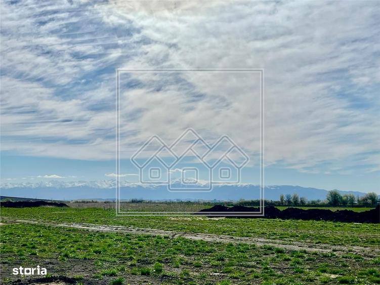 Teren de vanzare - Intravilan, 600 mp, cu utilitati - Sura Mica - 3