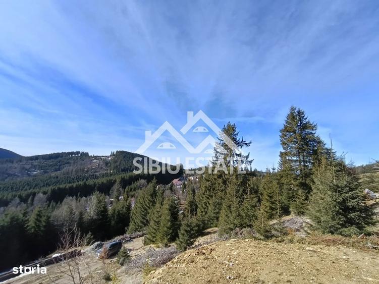 Teren de vanzare in zona montana a judetului Alba - 3