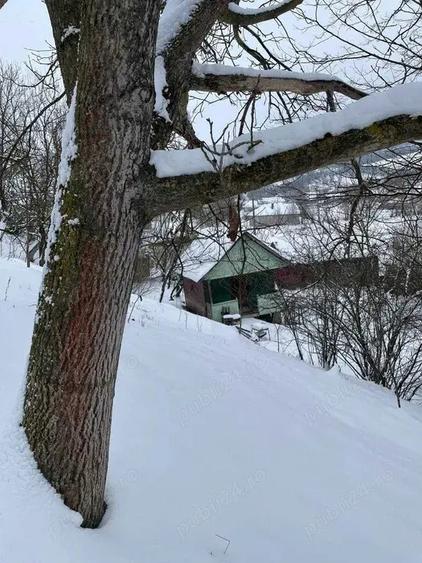 Vand Casa la tara cu CF, teren 2800 mp Comuna Geaca, Sat Lacu - 2