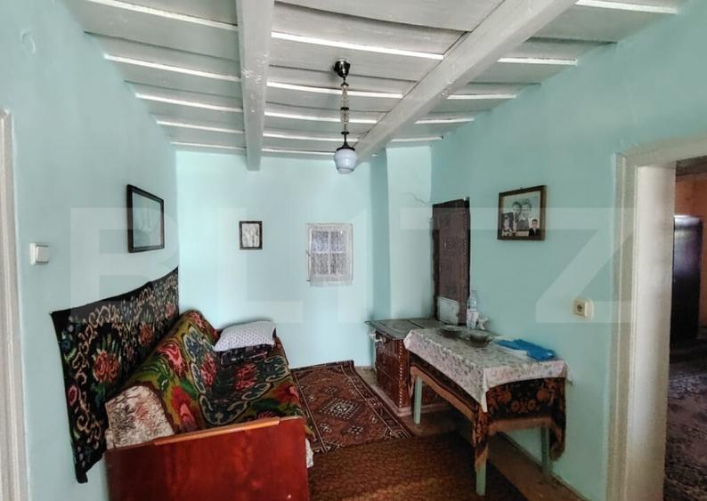 Casa renovabila 2,2 arii taren in Raciu - 5
