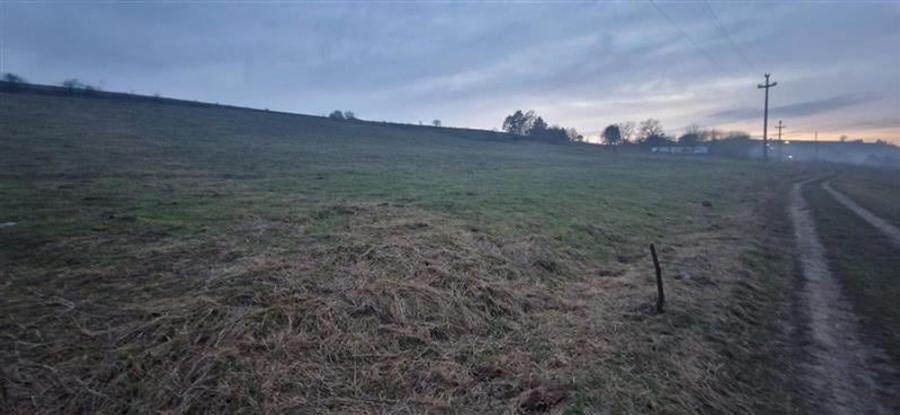 De vanzare teren 1,2 Ha in Laureni - 4