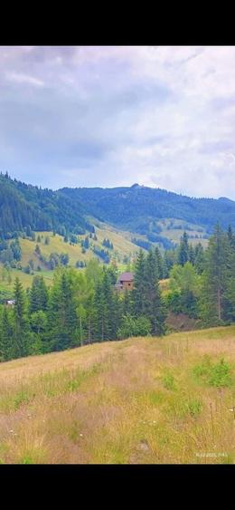 Teren de vanzare partial intravilan in Bucovina Pojorata Transrarau - 7