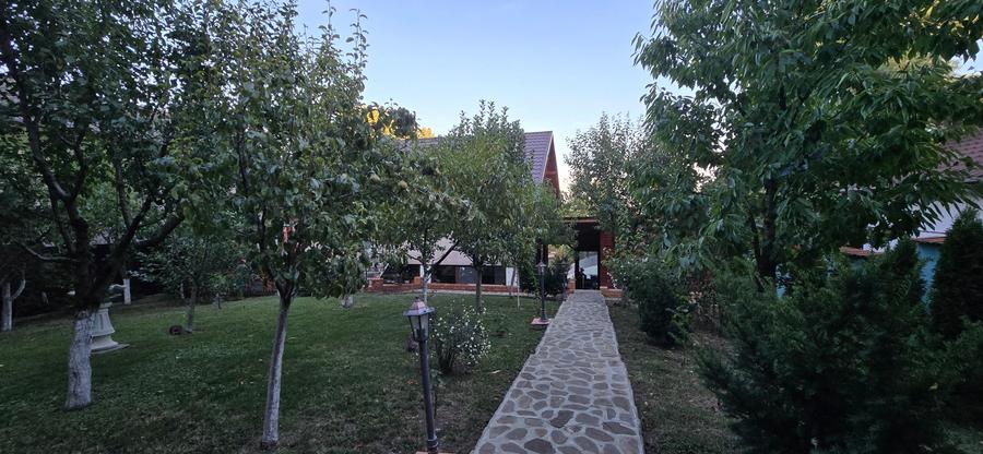 Moreni , Dambovita , vanzare proprietate -casa si teren - 23