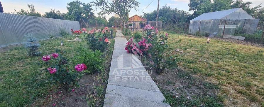 Casa cu teren de 2000 mp, Timisoara - 1